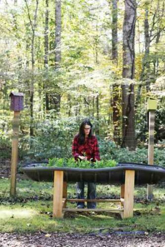 Gathering Together: Building a Homestead in North Carolina